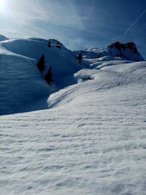 L'Appartement Les Bossons En Lisiere De Foret Dans Le Chalet Genepi Ареш Экстерьер фото
