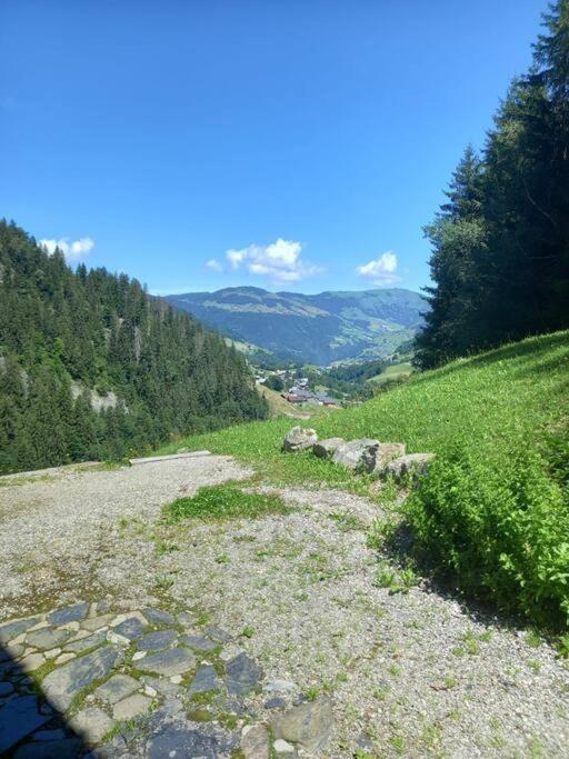 L'Appartement Les Bossons En Lisiere De Foret Dans Le Chalet Genepi Ареш Экстерьер фото